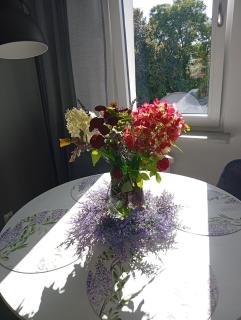 Apartament w centrum - 5