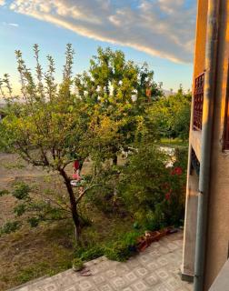Dzoraghbyur Garden - 1