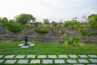 Dr Shaha's Farmhouse - 2