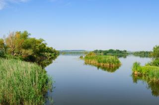 Apartments in Heviz - Balaton 54472 - 9