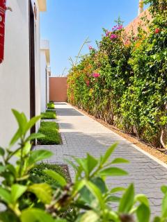 Surf House Dakhla - 7