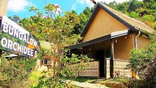 Hotel Evasion Bungalow - 5
