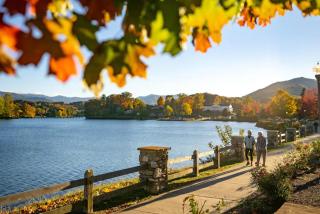 Old Chestnut Cabin at Lake Junaluska - 9