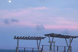 Apto em Pipa a 300m da praia do amor - 9
