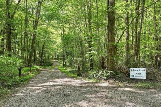 Salmon Creek Cabin - Allegheny National Forest - 9