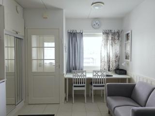 Leviloma - 21m2 B - Levi majoitus loma-asunto Levistar huoneisto - Levi accommodation Levistar apartment - 1
