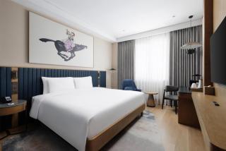 Radisson Blu Hotel, Almaty Airport - 8