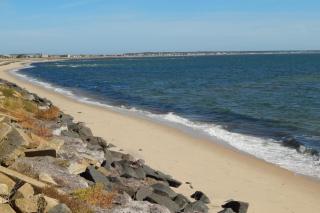 P-Town Beach Beauty on the Bay Water View! - 7