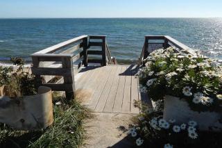 P-Town Beach Beauty on the Bay Water View! - 6