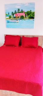 Appartements a Grand Baie - 4