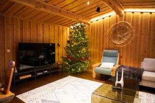 Private log villa by the Ivalo River - 4