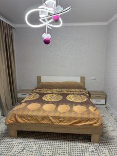 Барс - 0