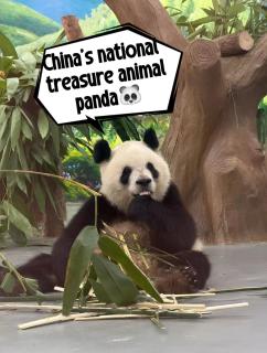 Paco Hotel Zoo Metro and Tianhe Sports Center Guangzhou - Guangzhou - 6