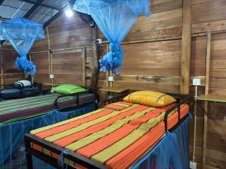E S Eco Safari Hostel - 4
