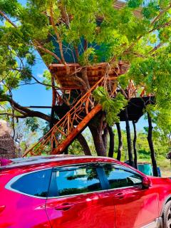 Iththakema Rainbow Tree house, Cabanas & Yala Gateway - 0