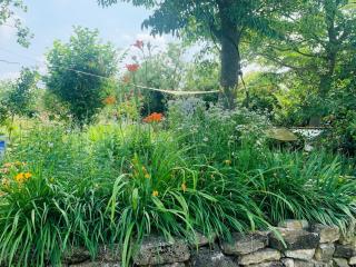 Country House Ca di Siro - 3