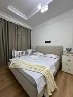Apartment overlooking Tashkent City Park - 9