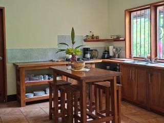 Casa Mono Congo Ometepe - 6