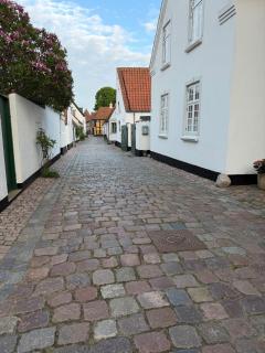 Best location in Ribe - 2