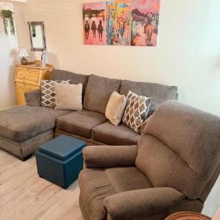 NEW Saguaro Serenity - 9