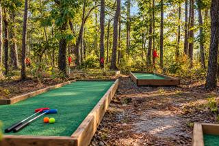 Hot Tub, Pickleball, Mini Golf, Movie Theater, Firepit, Arcade Games, Basketball, Kids Playset - 8