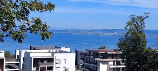 T3 avec grande terrasse et vue lac Évian - 7