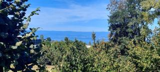 T3 avec grande terrasse et vue lac Évian - 8