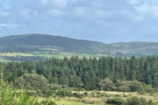 Barn Sleeps 3 with Parking - 7