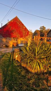 Magnifique Maison Bretonne - Gîte Ar Baradoz - 4