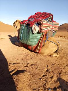 Desert Authentic Experiences at Tidri Camp - 2
