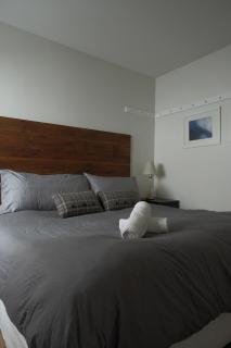 Cozy ski in ski out condo - 5