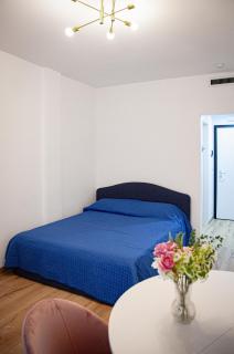 NEW Auris - monolocale in centro con terrazzo - 1