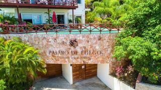 Pajaro de fuego Sayulita vacation rentals - 0