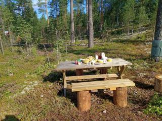 Micro natuurcamping met complete tipitenten bij Nationaal Park Fulufjället - 9