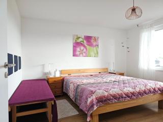 Ferienwohnung Rheinfelden Eichsel mit großer Terrasse und Schweizblick - 7