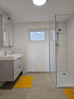 Ferienwohnung Rheinfelden Eichsel mit großer Terrasse und Schweizblick - 4