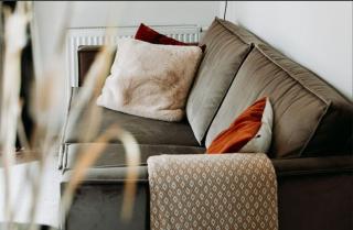 Luxe boshuisje Goudvink, midden op de Veluwe - 1