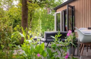 Luxe boshuisje Goudvink, midden op de Veluwe - 7