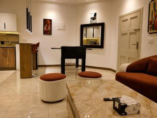 F-10 Modern Studio Apartment - 2