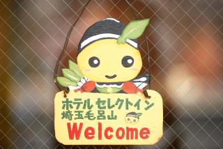 Hotel Select Inn Saitama Moroyama - Ogose - 6