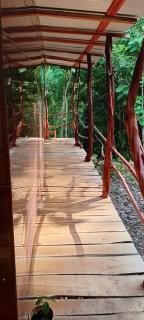 The Forest Cabin - 1