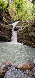 The Forest Cabin - Parrita - 3