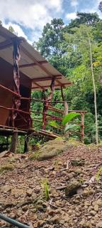 The Forest Cabin - Parrita - 2
