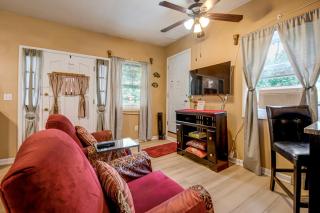Charming Stone Mountain Studio: Deck & No Steps - 6