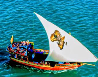 Dolphin day trips, scuba diving and sunset Tours - 0