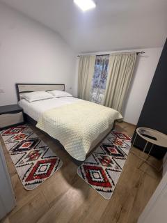 Casa Ionuț din Bucovina - 3