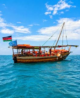 Dolphin day trips, scuba diving and sunset Tours - 5