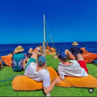 Dolphin day trips, scuba diving and sunset Tours - 4