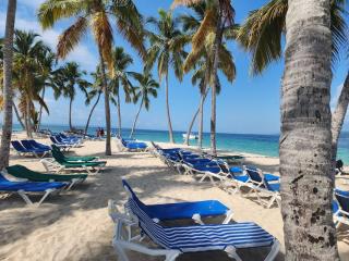 New apartment in Las Galeras - 1
