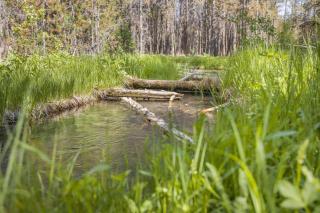 Hidden River-Riverfront-20Acre - 5